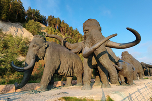 Мамонты ХМ